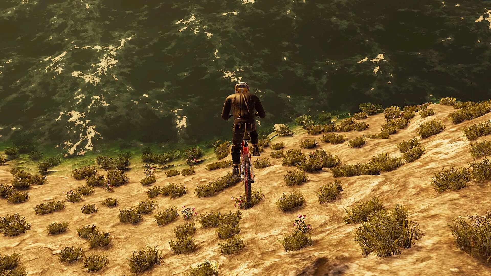 Изображение игры: BMX Wild Run