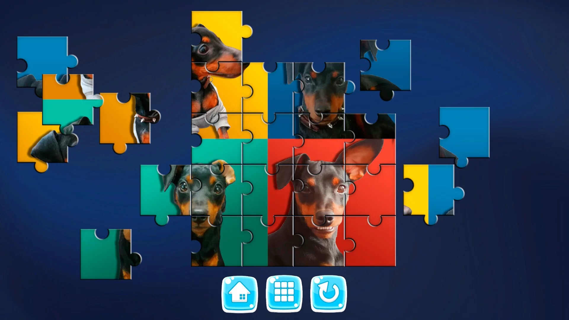 Изображение игры: MY DOG!