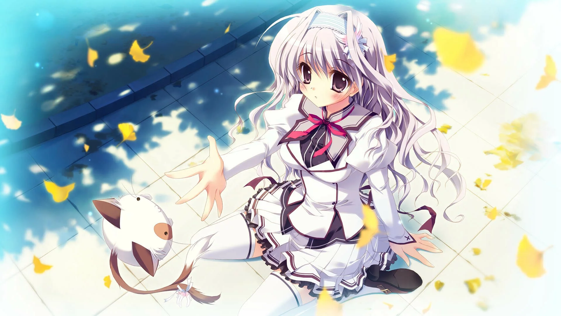 Изображение игры: Mashiroiro Symphony HD -Love is Pure White