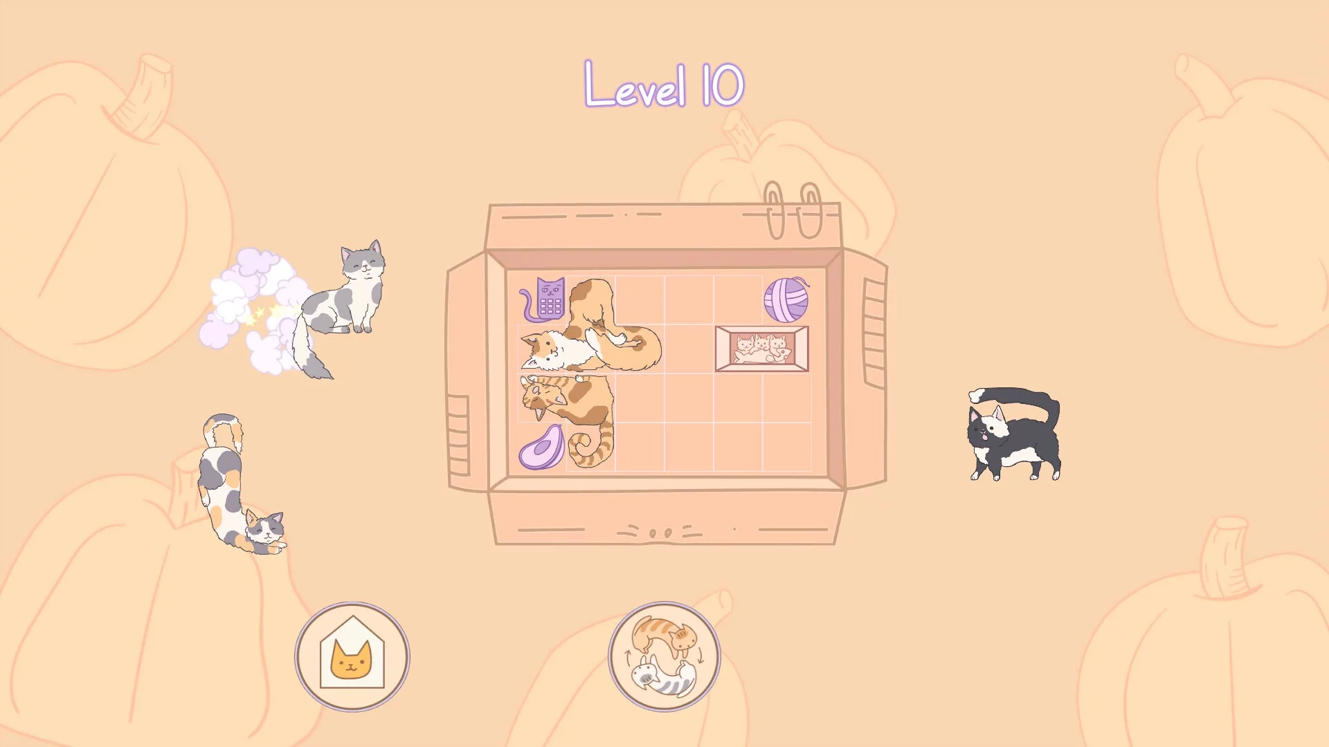 Изображение игры: Cats in Boxes