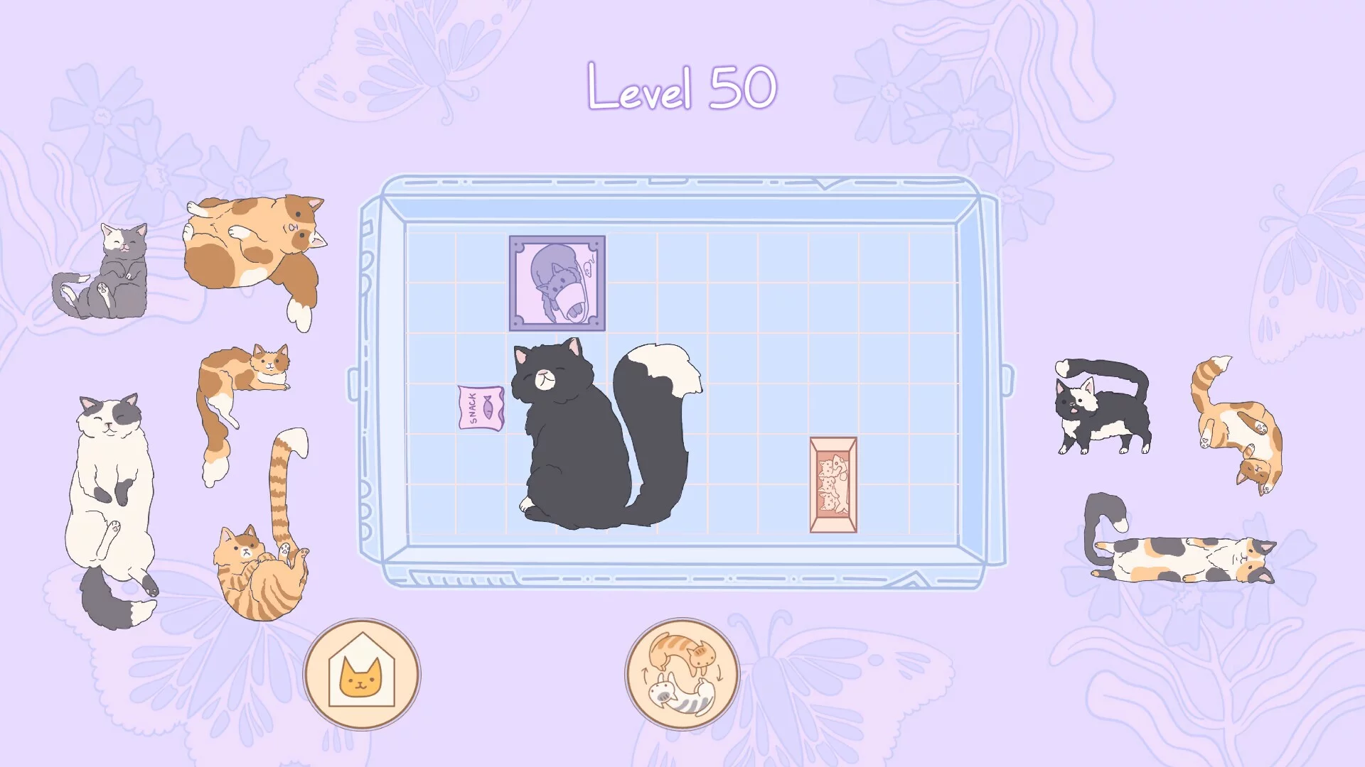 Изображение игры: Cats in Boxes