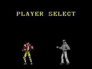 Изображение игры: SENGOKU I