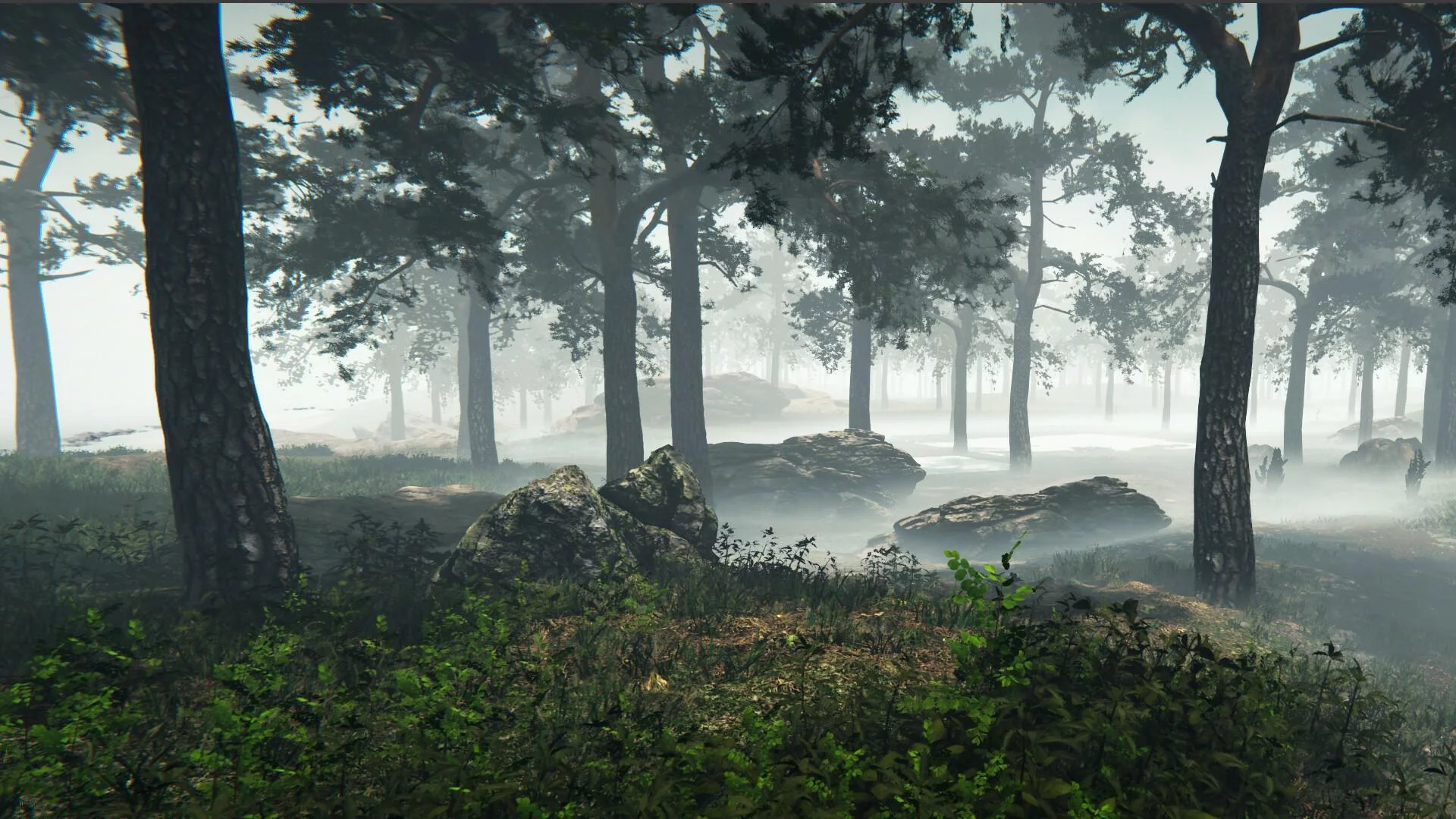 Изображение игры: Nested Lands