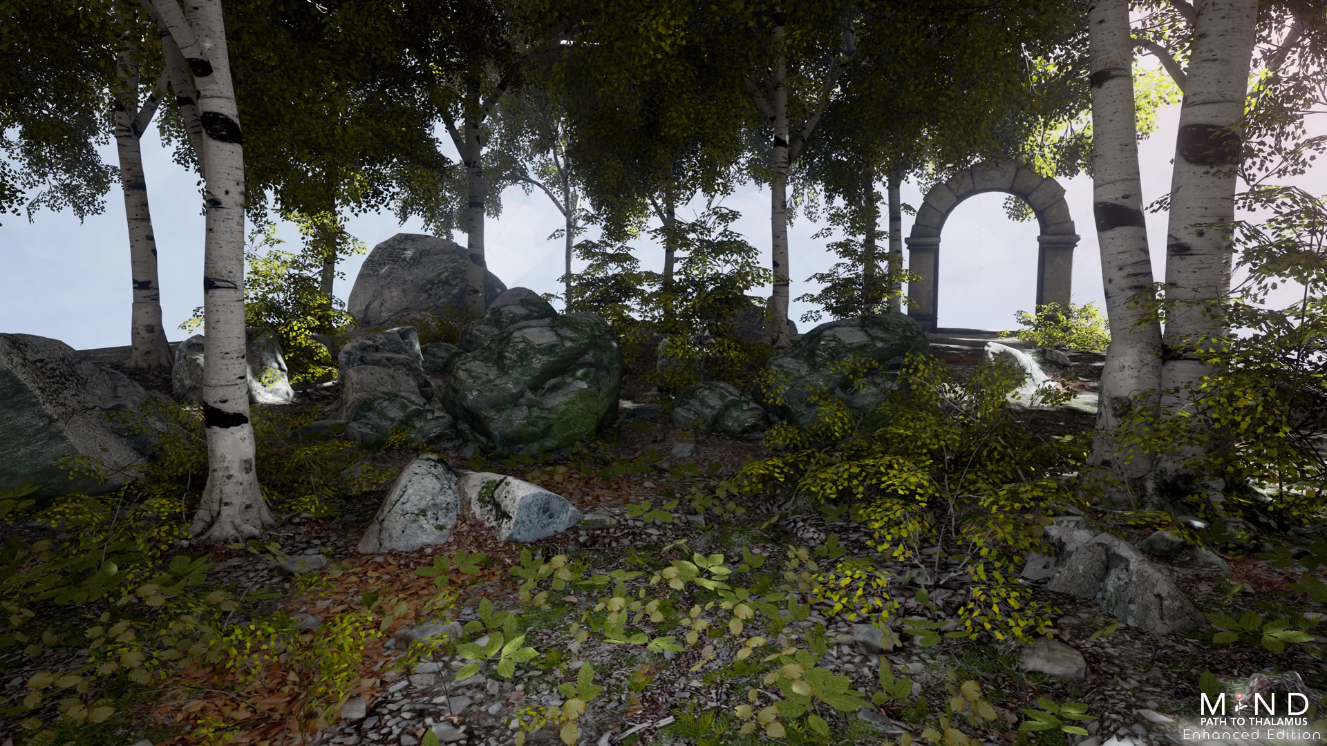 Изображение игры: MIND: Path to Thalamus Enhanced Edition