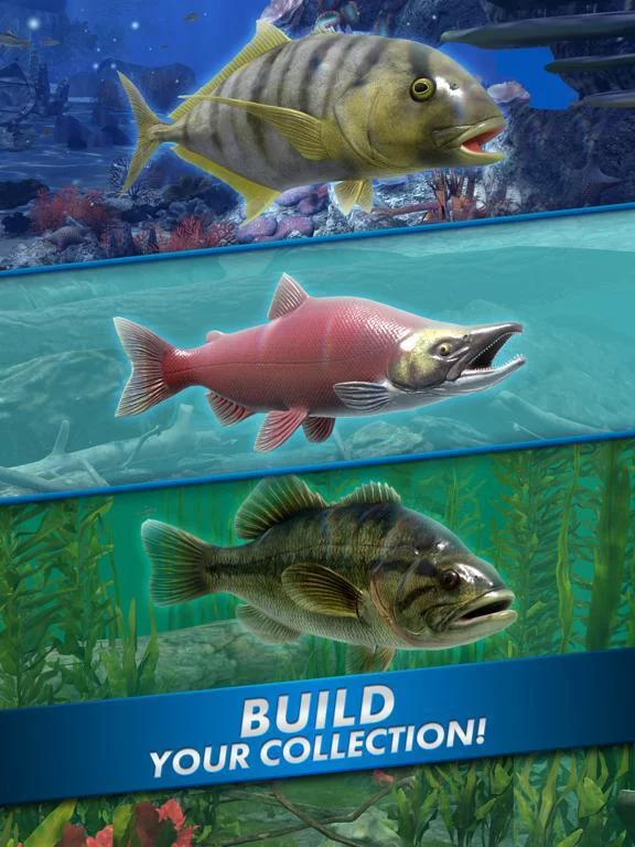 Изображение игры: Ultimate Fishing! Fish Game