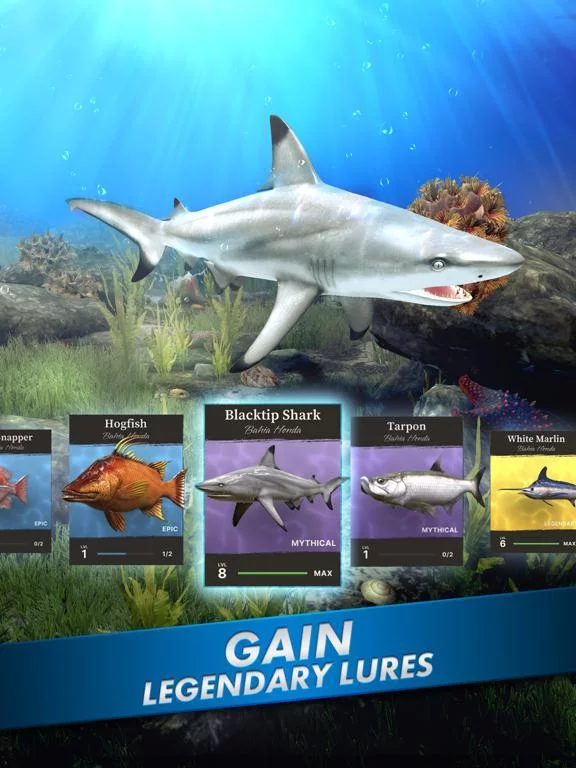 Изображение игры: Ultimate Fishing! Fish Game