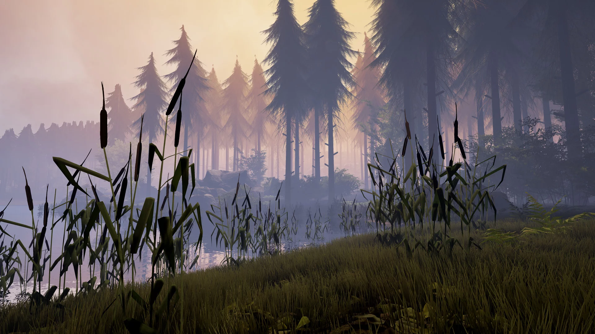Изображение игры: Finding Bigfoot