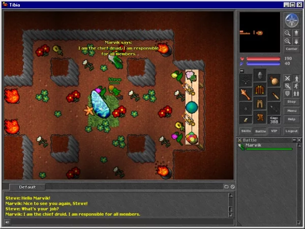 Изображение игры: Tibia