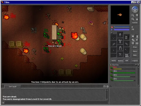 Изображение игры: Tibia
