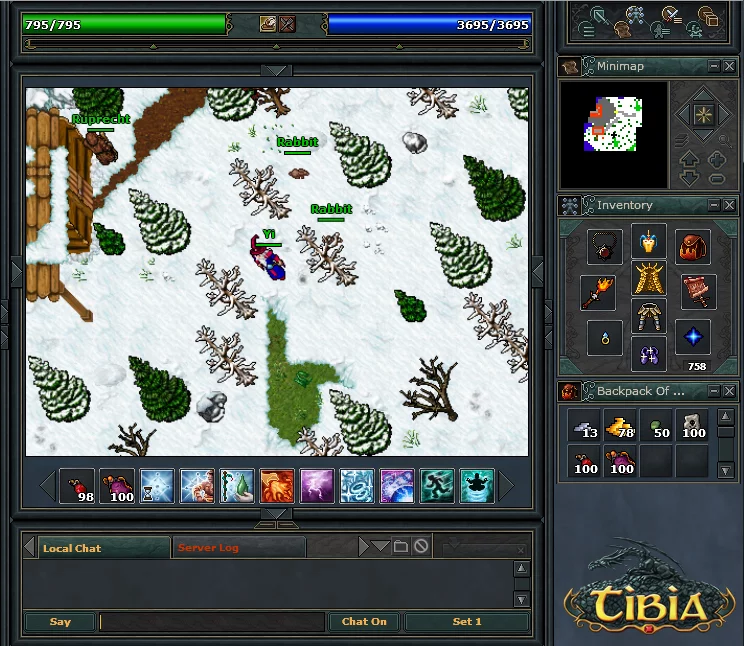 Изображение игры: Tibia