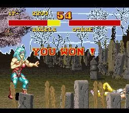 Изображение игры: Power Instinct