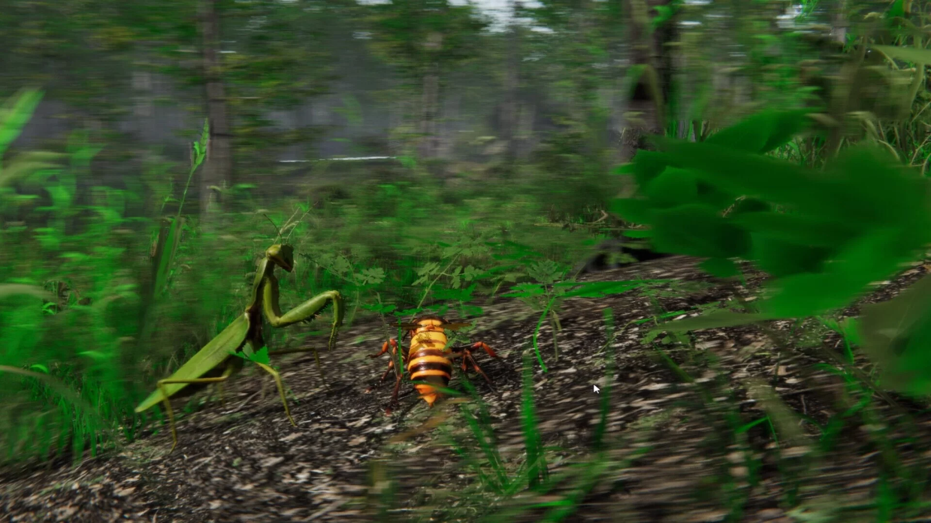 Изображение игры: Giant Hornet