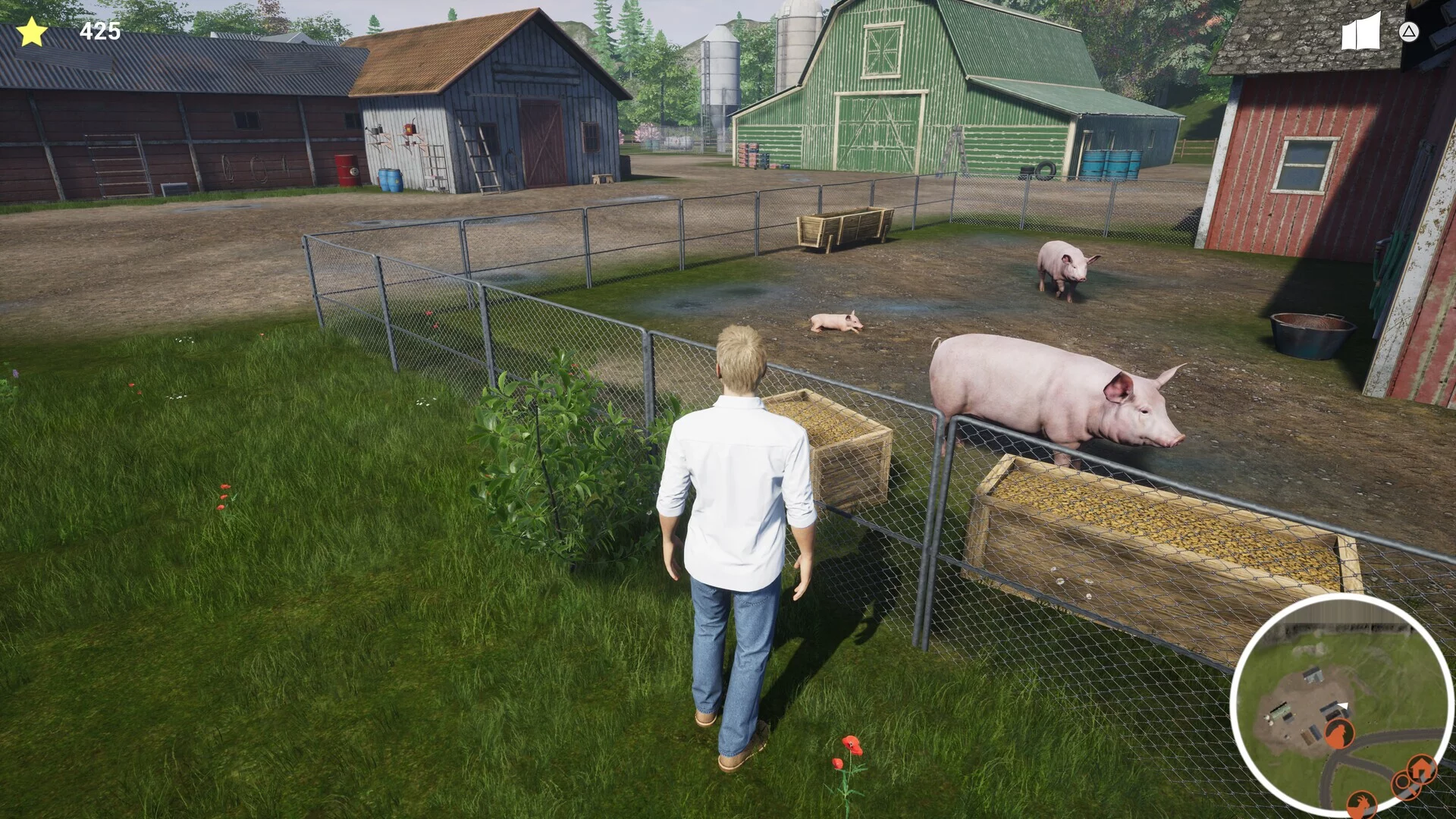 Изображение игры: My Life: Farm Vet
