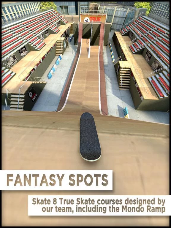 Изображение игры: True Skate