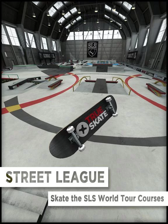 Изображение игры: True Skate
