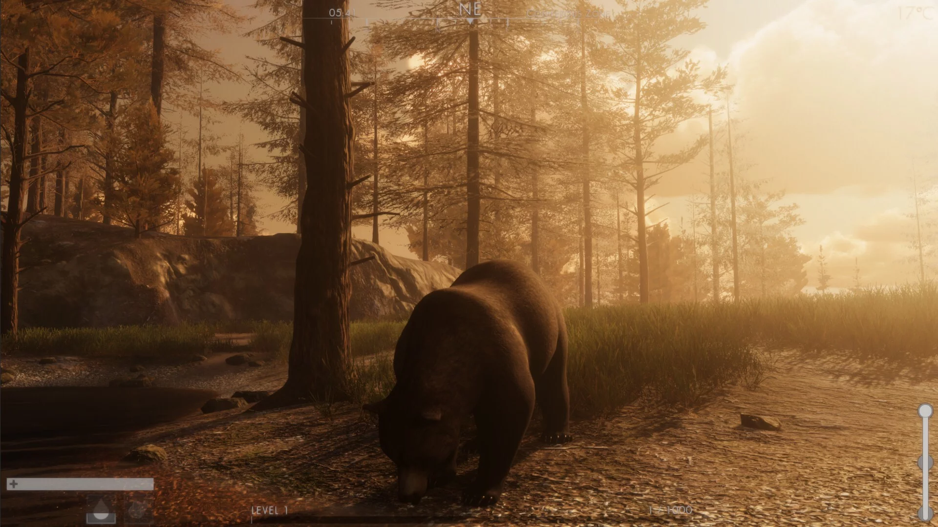 Изображение игры: The WILDS