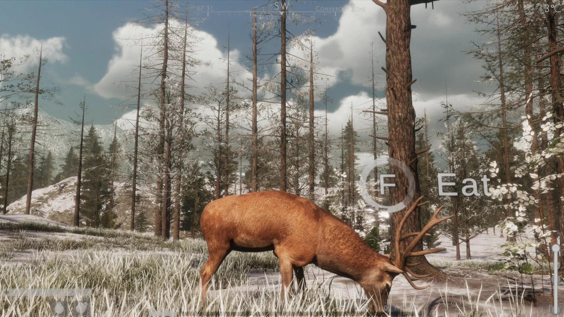 Изображение игры: The WILDS