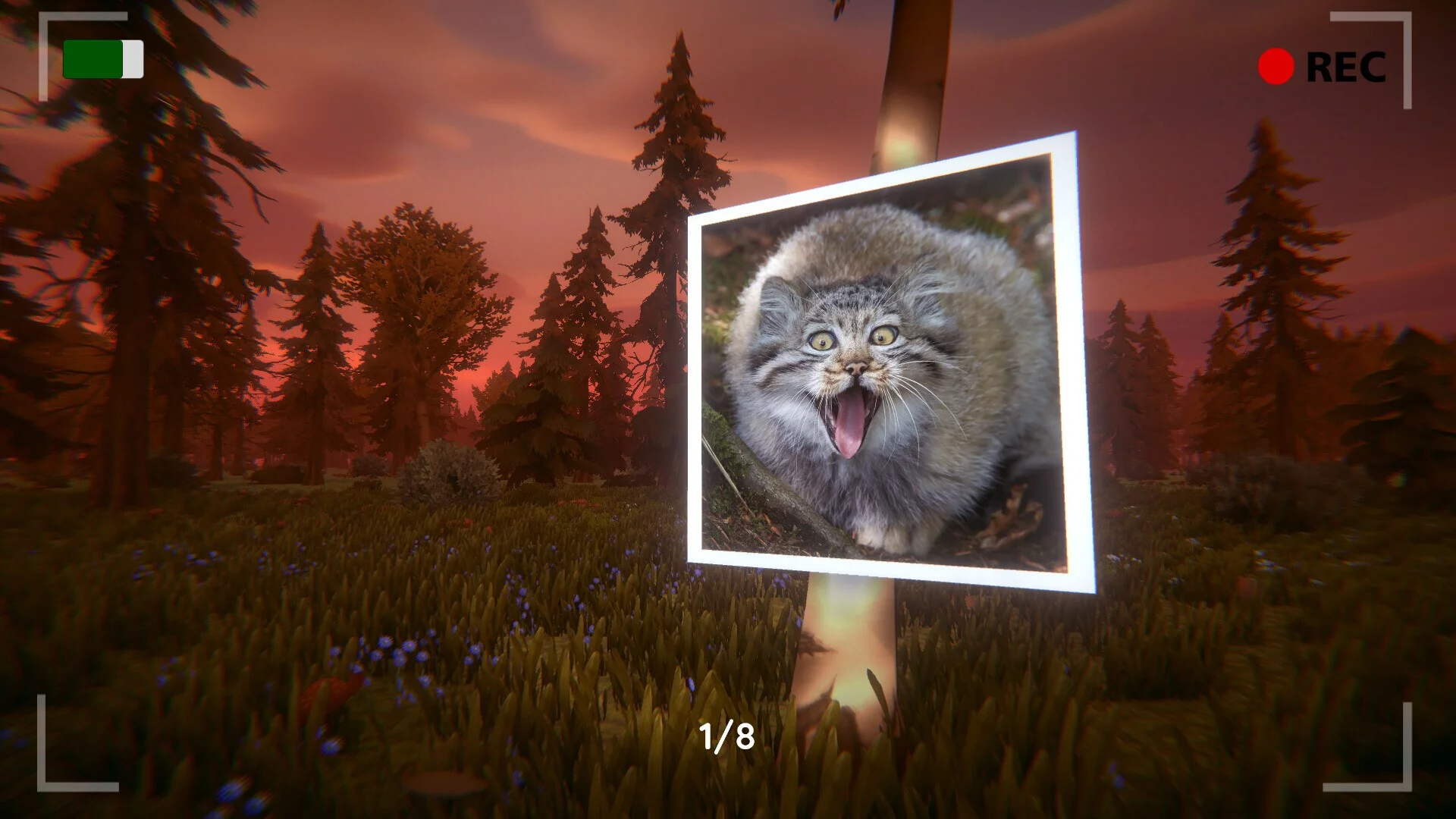 Изображение игры: Floppa: The Dark Forest
