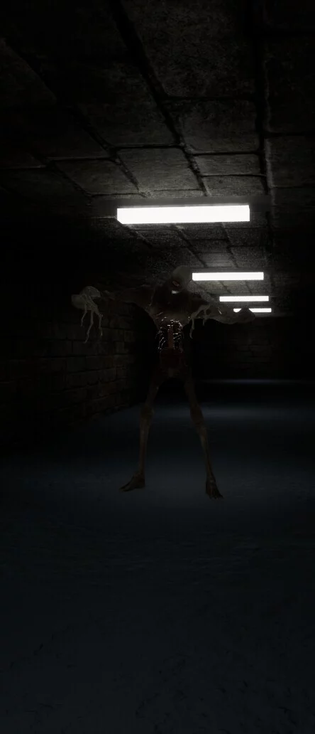 Изображение игры: The Corridors