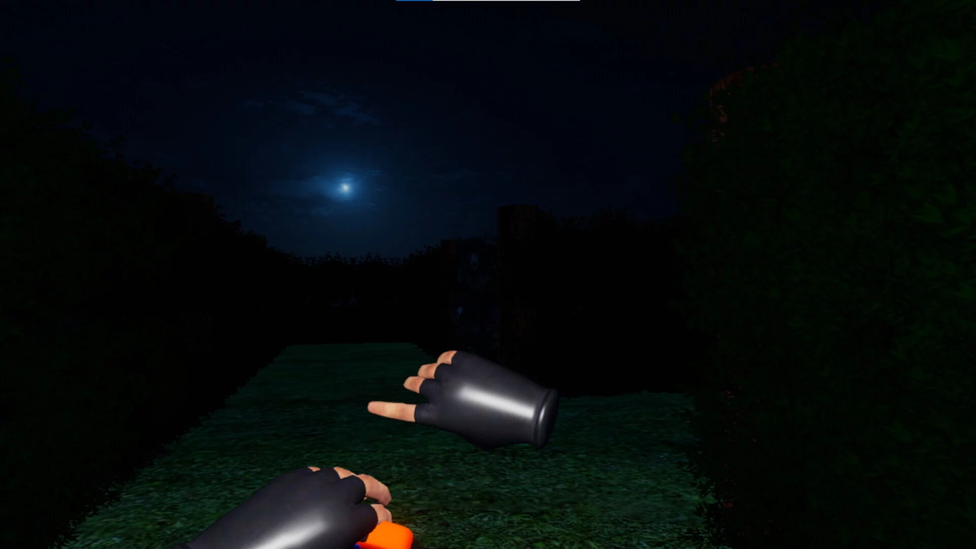 Изображение игры: Nightmare Labyrinth
