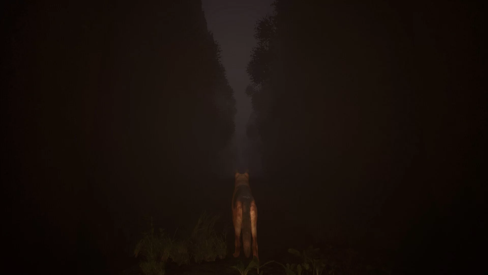 Изображение игры: Out of Nowhere