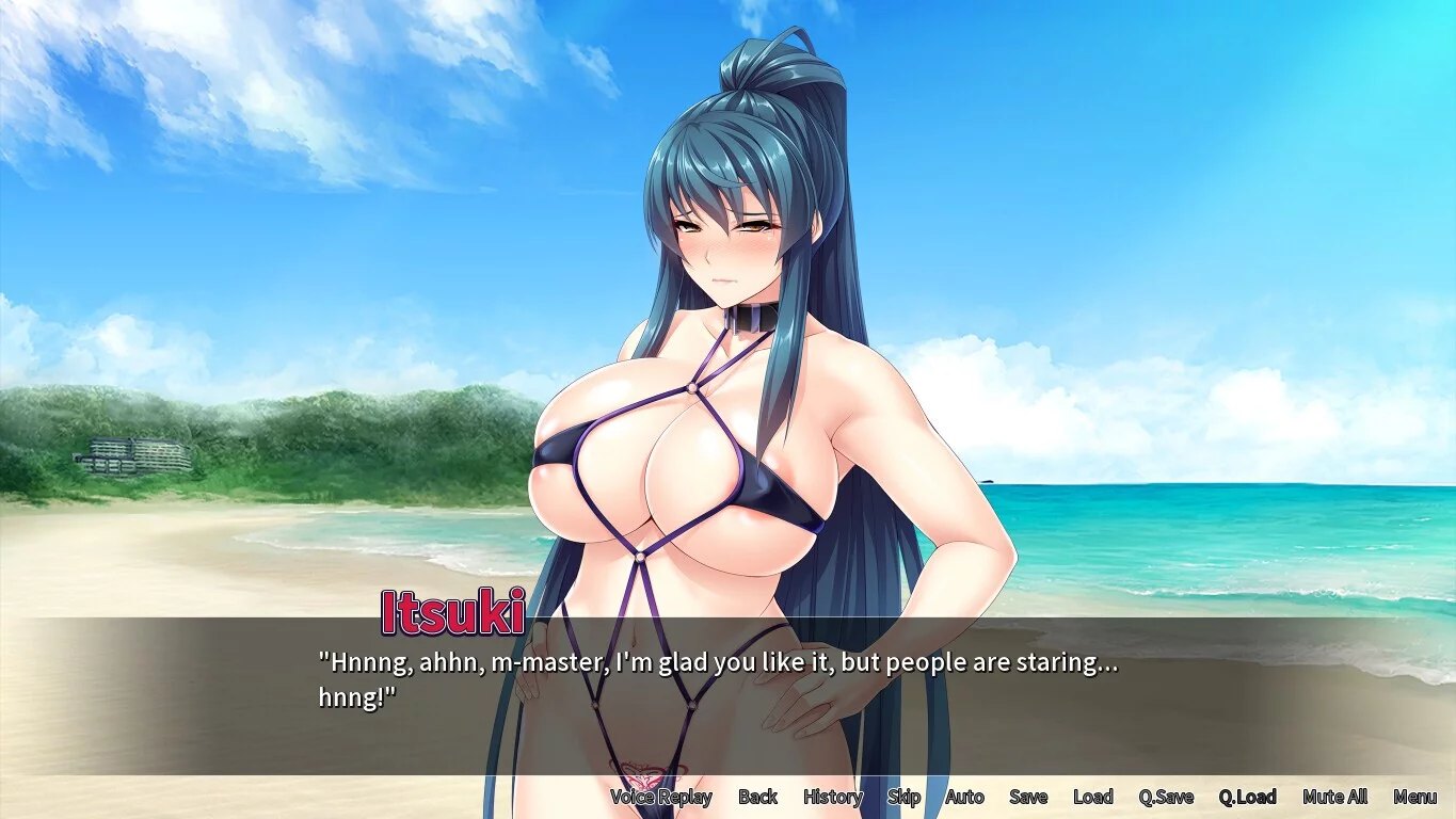 Изображение игры: Oppai Samurai: Knocked up by a No Name Novice