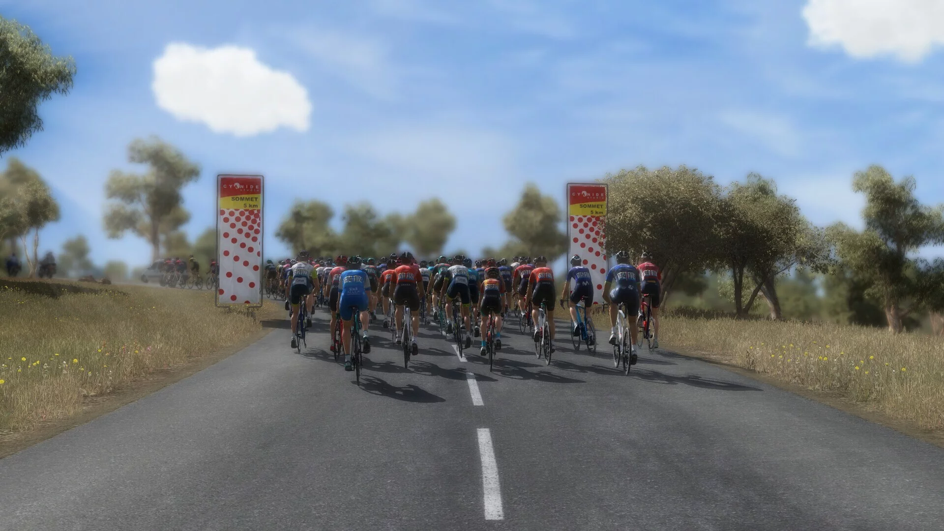 Изображение игры: Pro Cycling Manager 2023