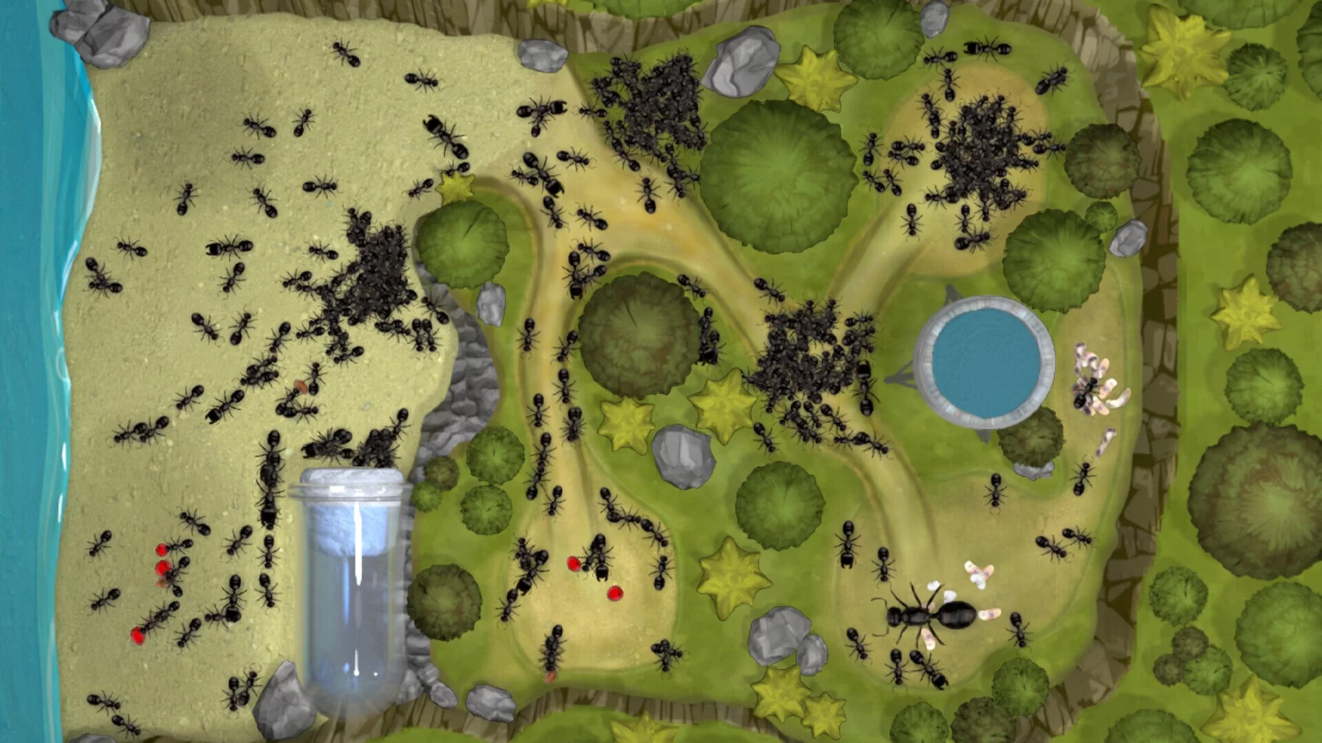 Изображение игры: Ant Farm Simulator