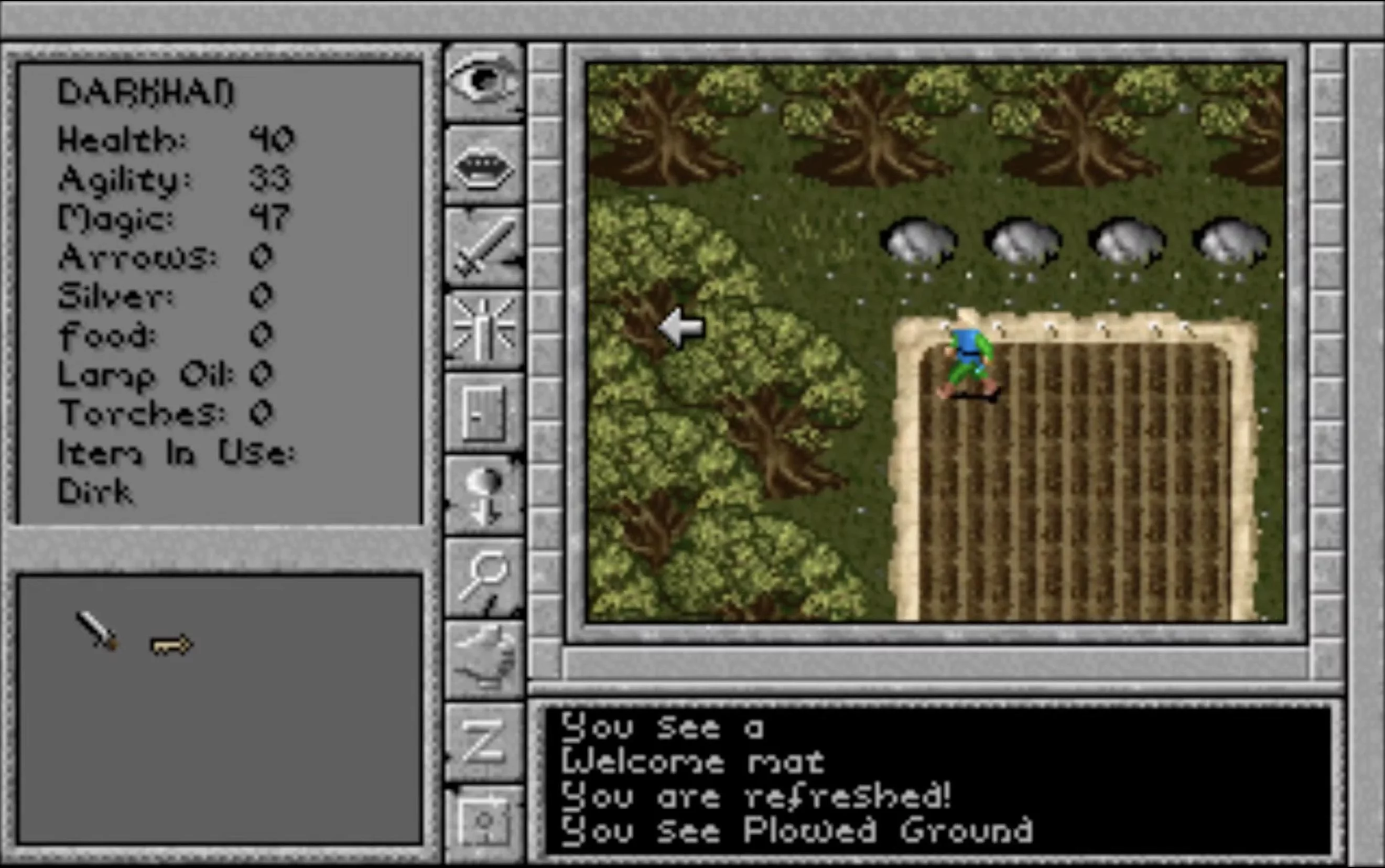 Изображение игры: Prophecy of the Shadow