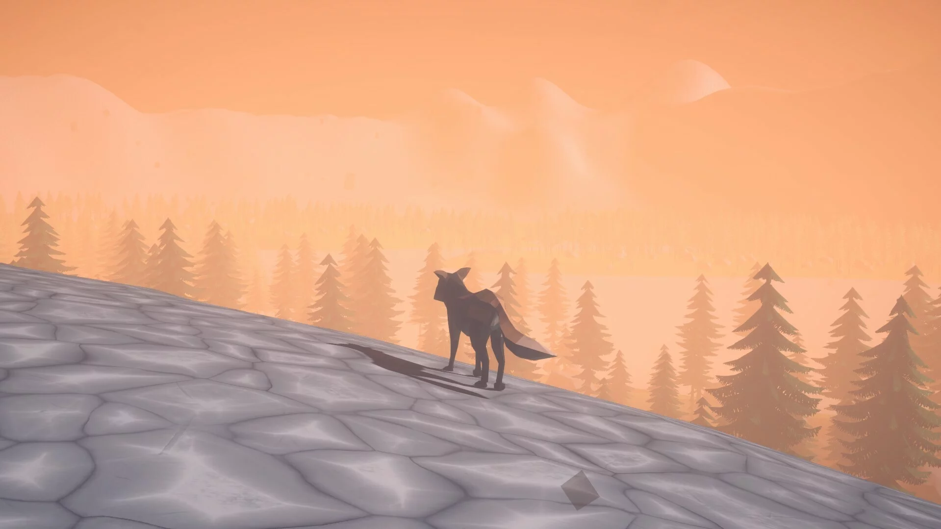 Изображение игры: Whispering Paws