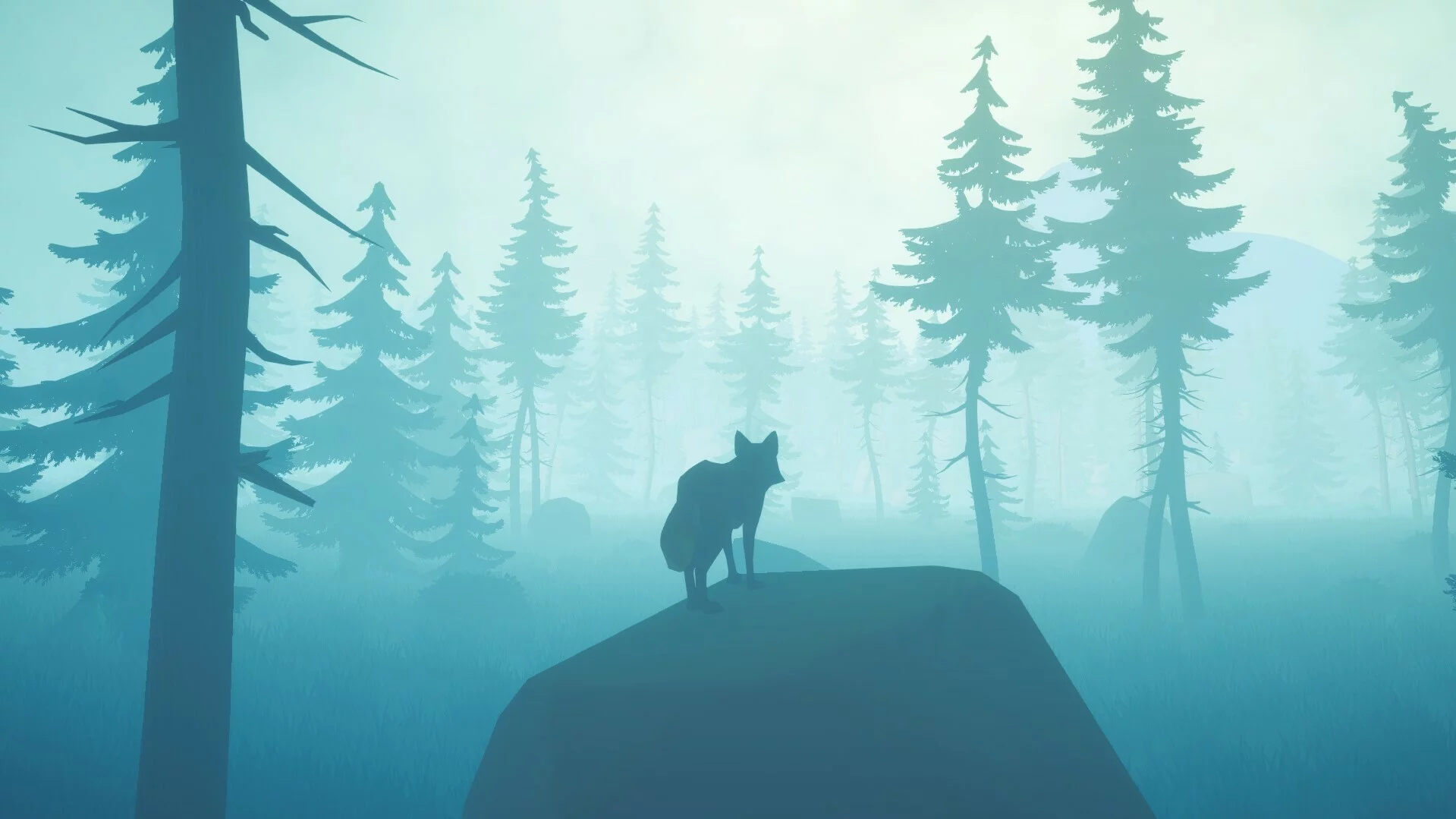 Изображение игры: Whispering Paws