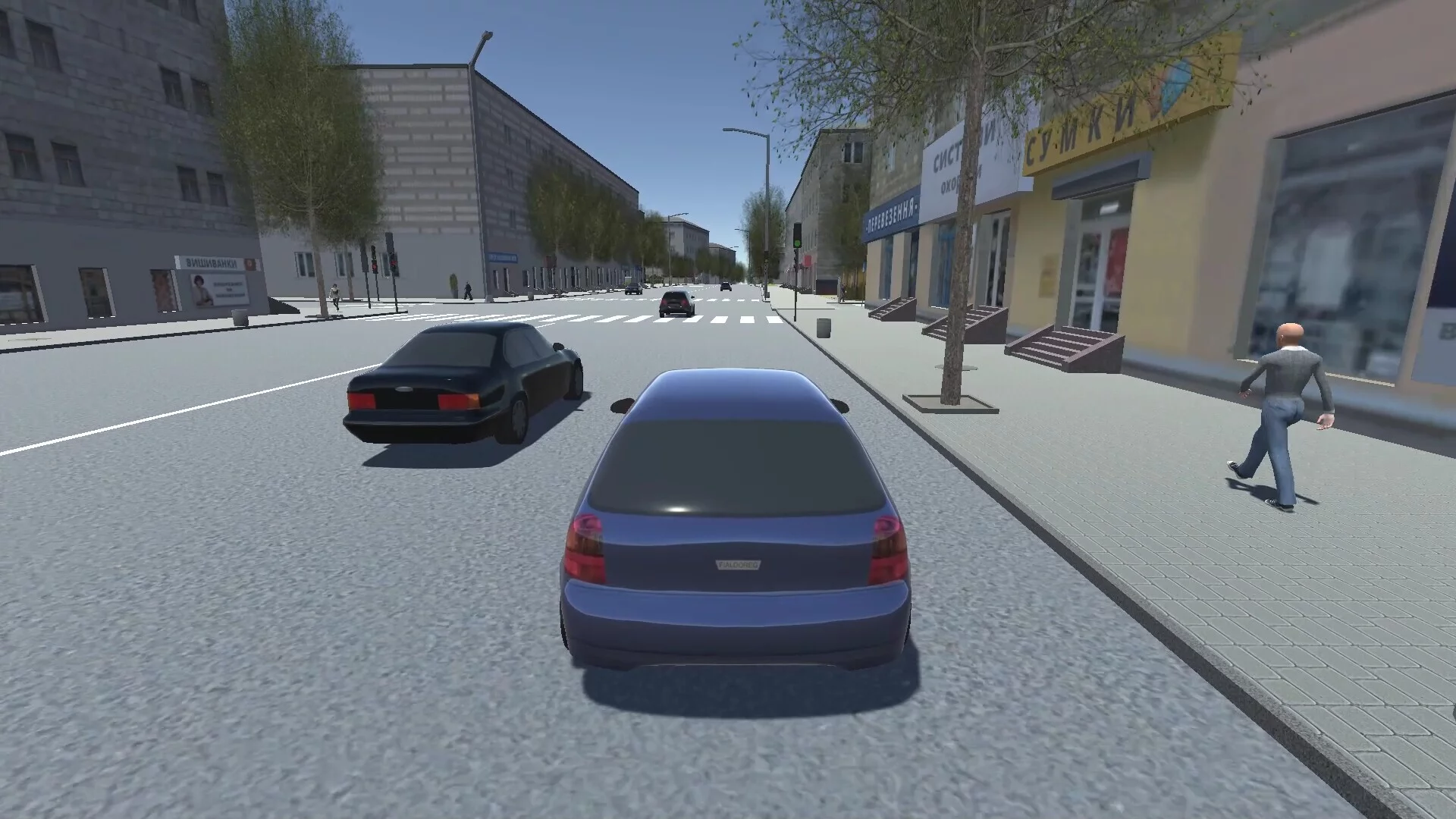 Изображение игры: Tercity Life Simulator