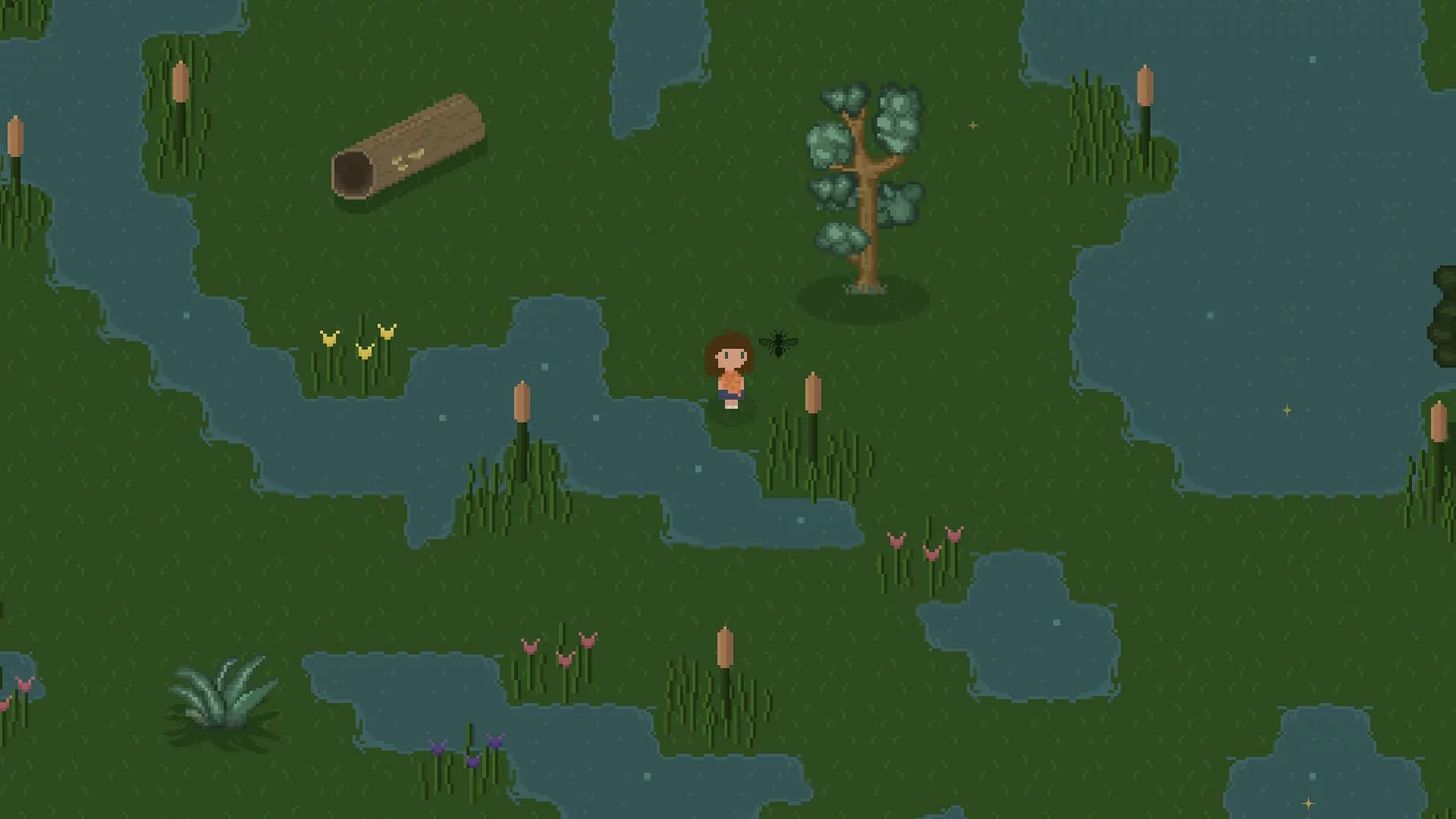 Изображение игры: Bug & Seek