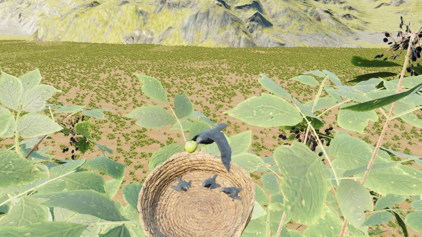 Изображение игры: Raven Simulator