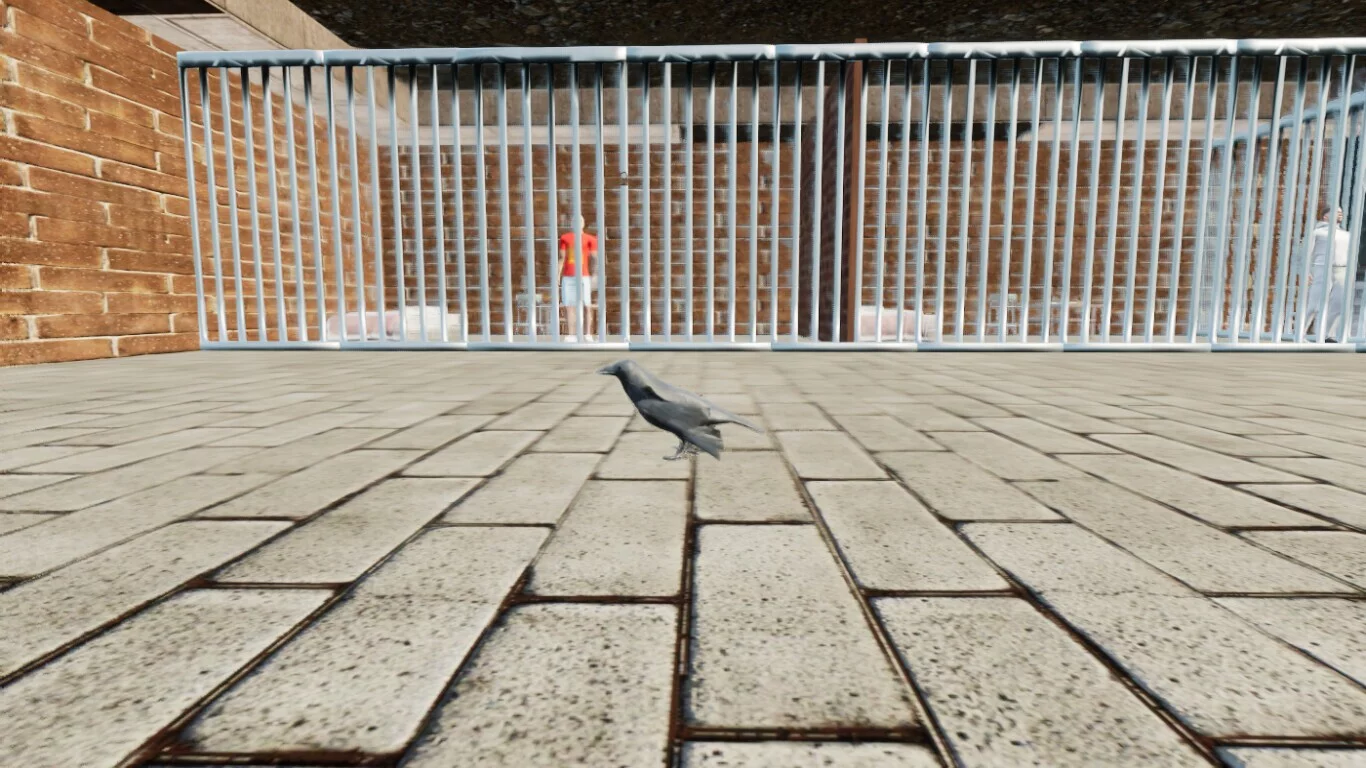Изображение игры: Raven Simulator