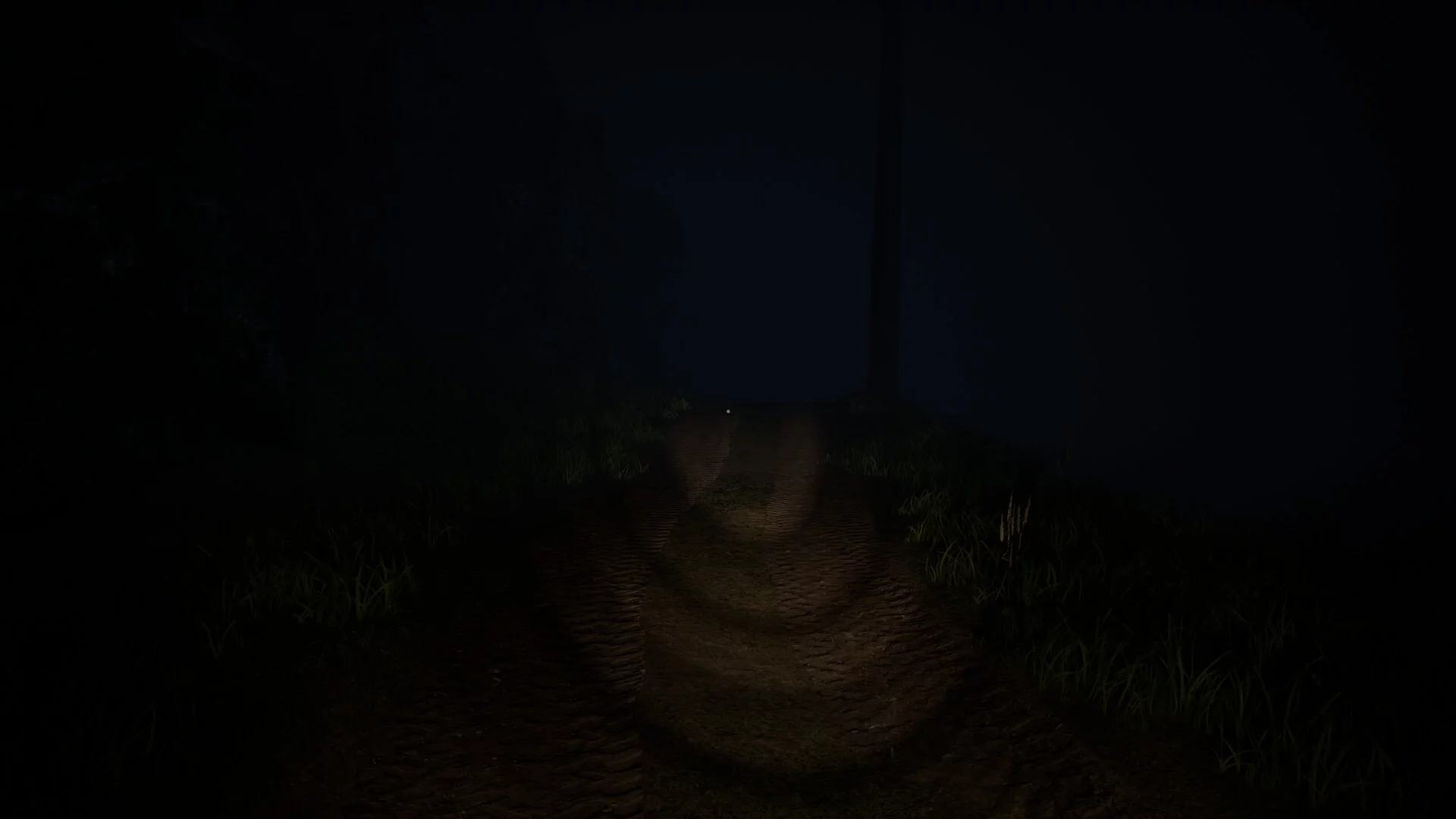 Изображение игры: Strange Midnight
