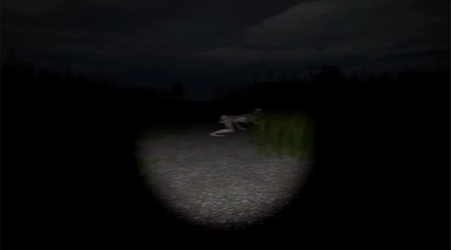 Изображение игры: Disquiet Fields