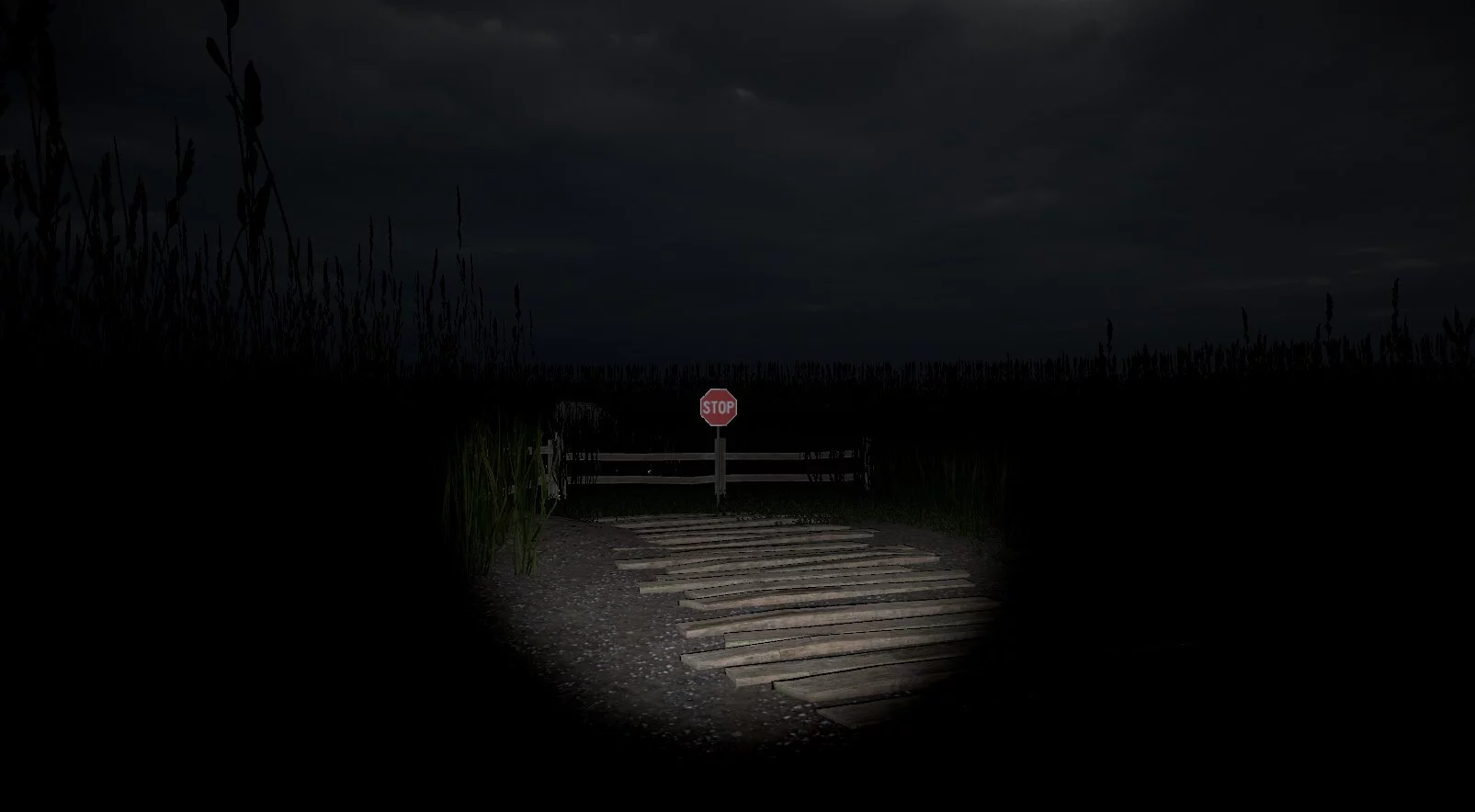 Изображение игры: Disquiet Fields