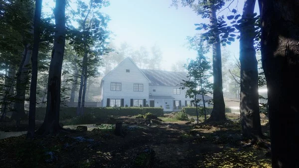 Изображение игры: The House in the Forest