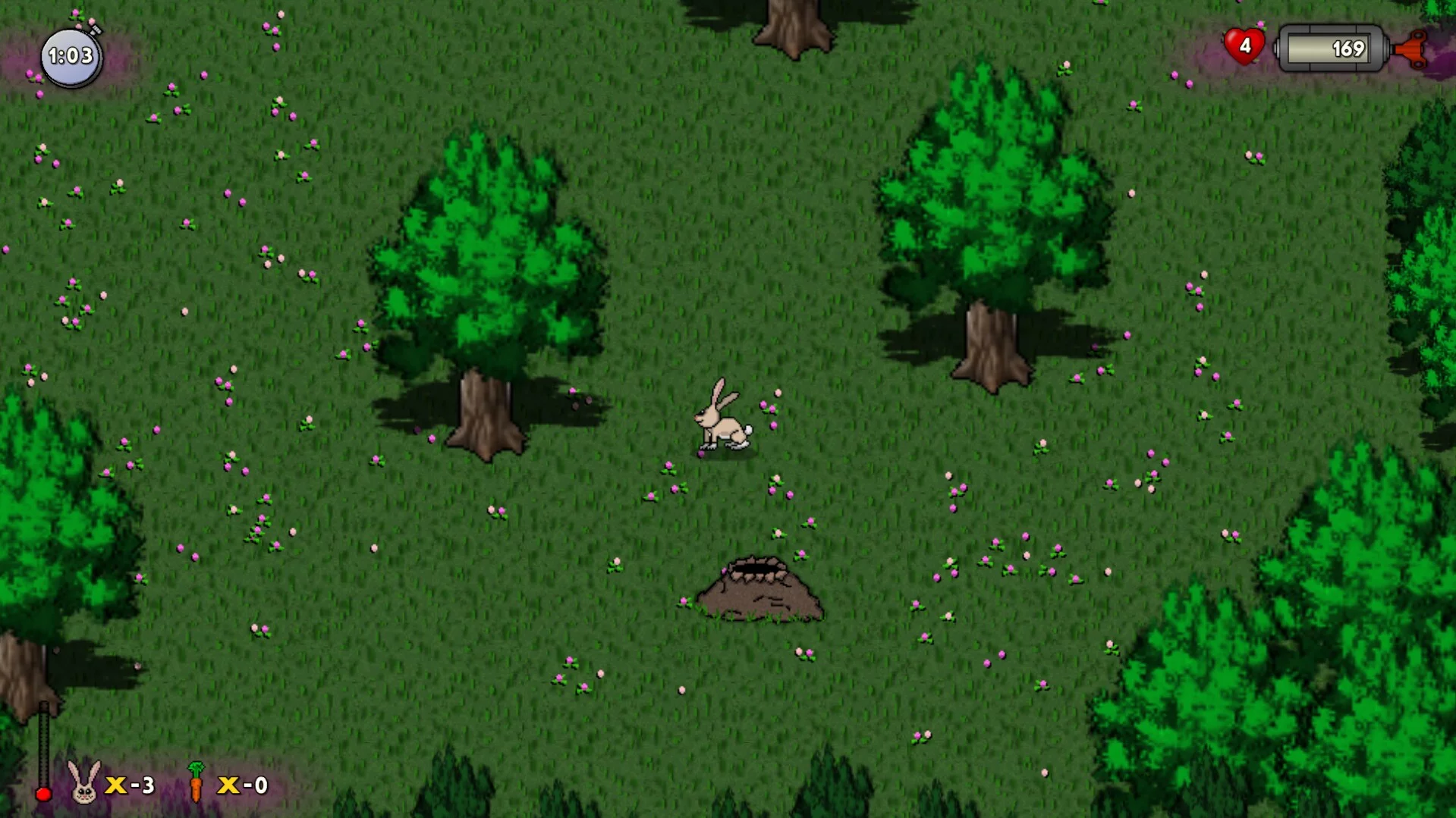 Изображение игры: RUN HARE RUN