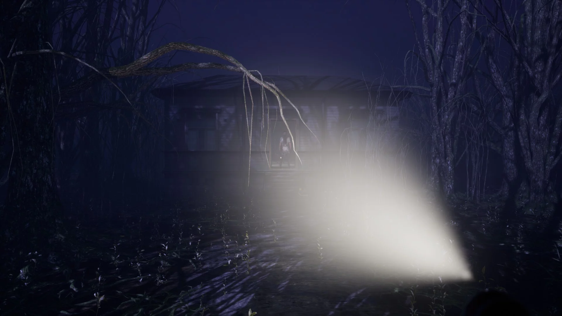Изображение игры: Agoraphobia