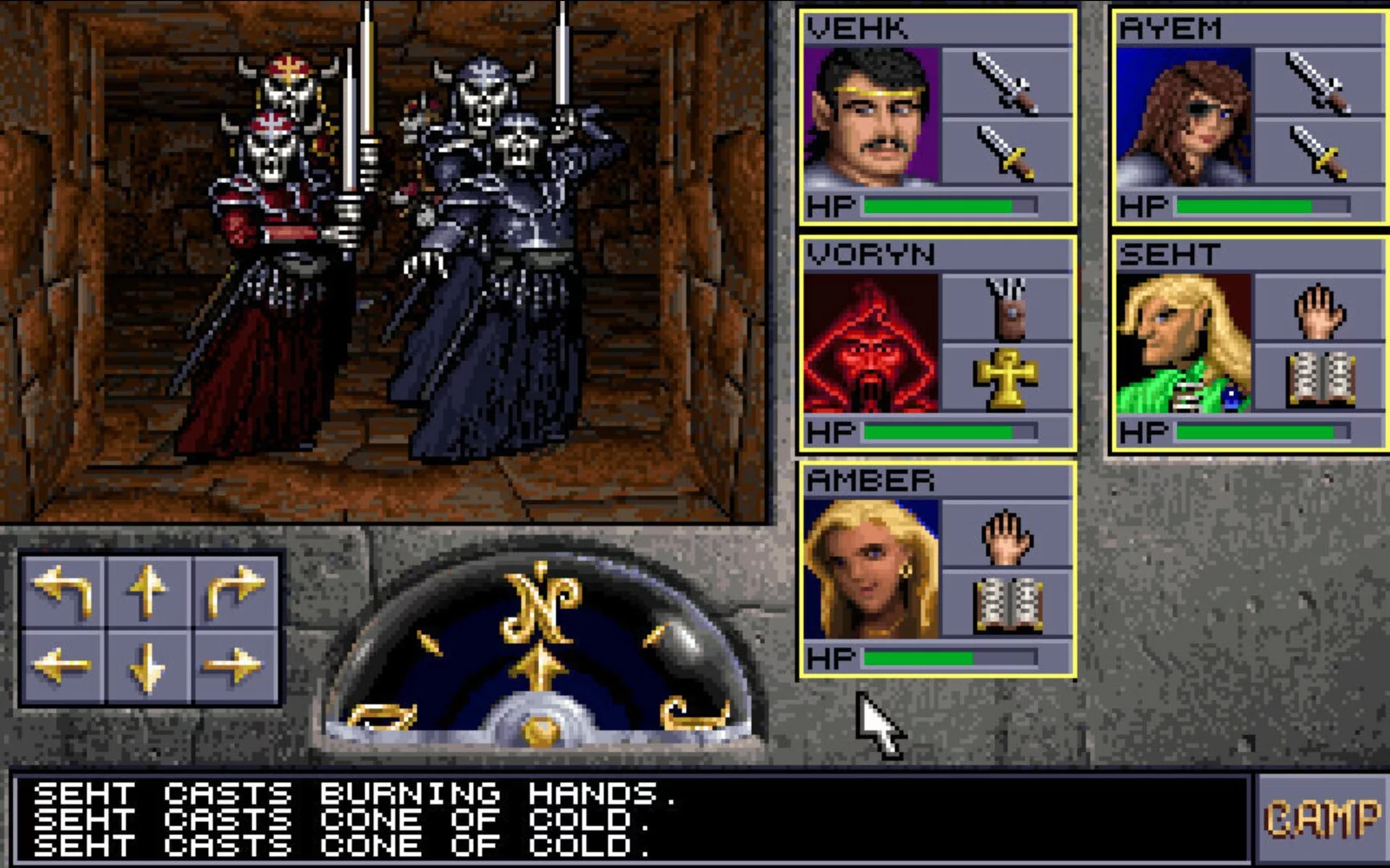Изображение игры: Forgotten Realms: The Archives - Collection One