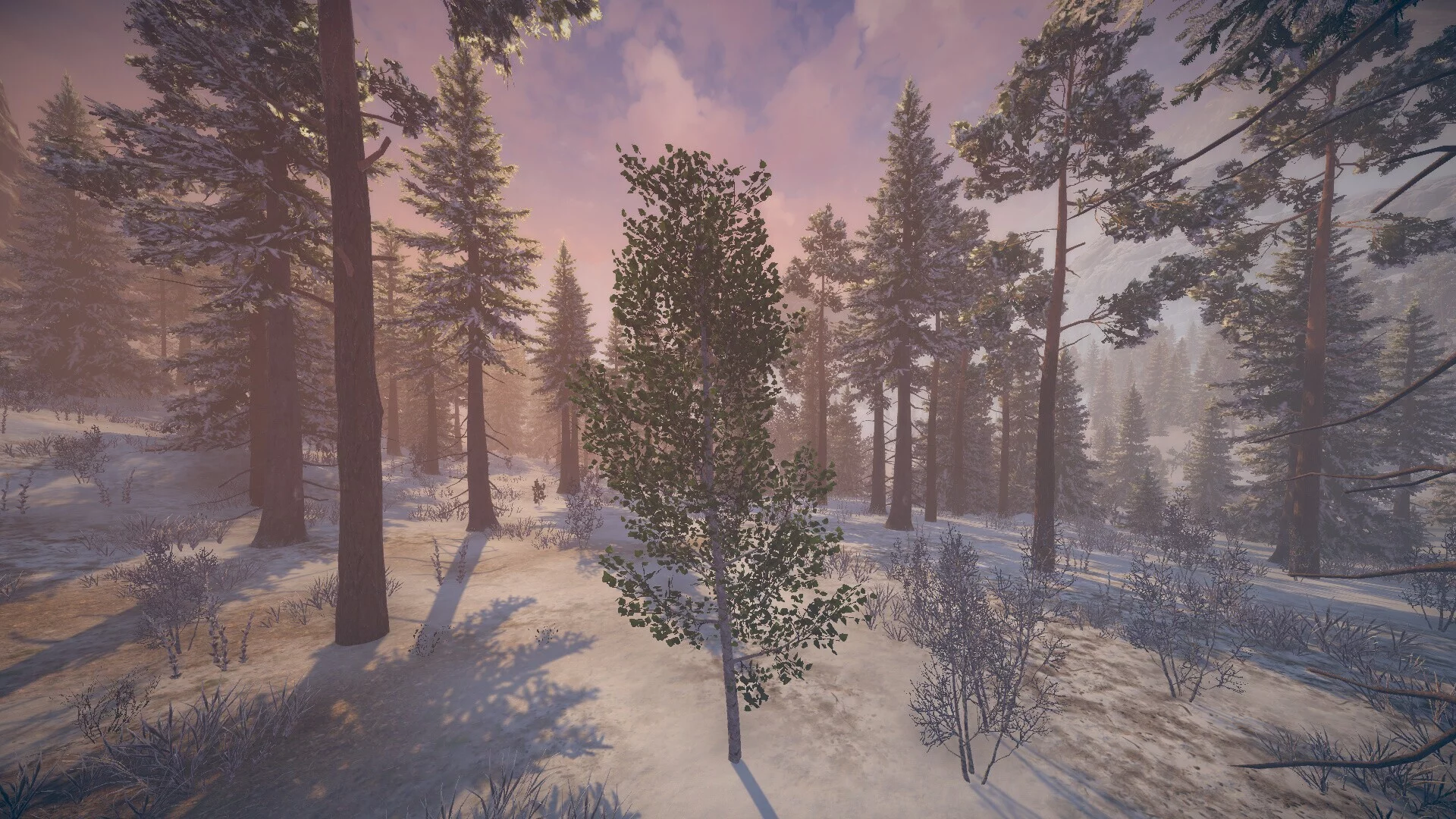 Изображение игры: Birch Simulator