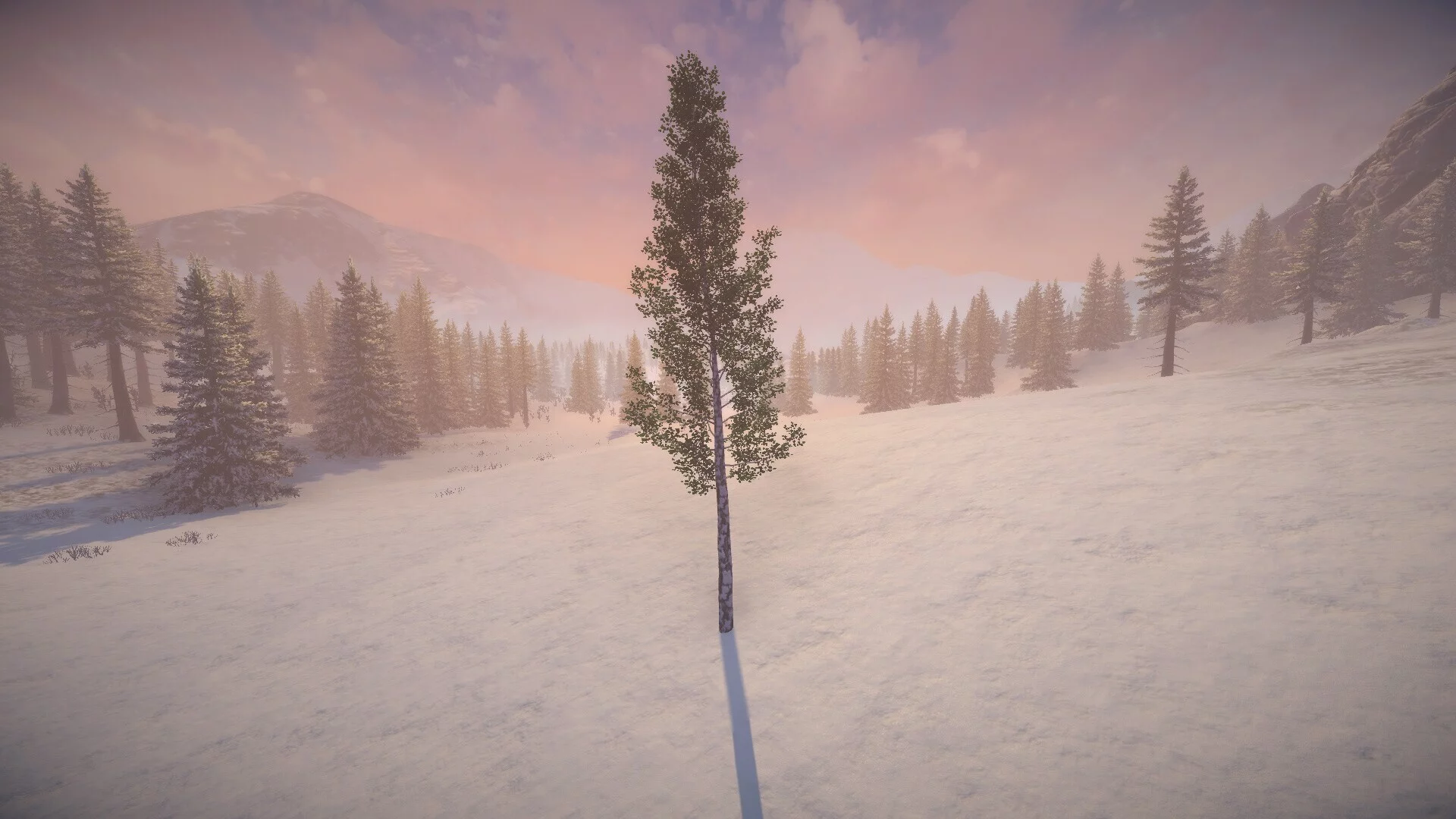 Изображение игры: Birch Simulator