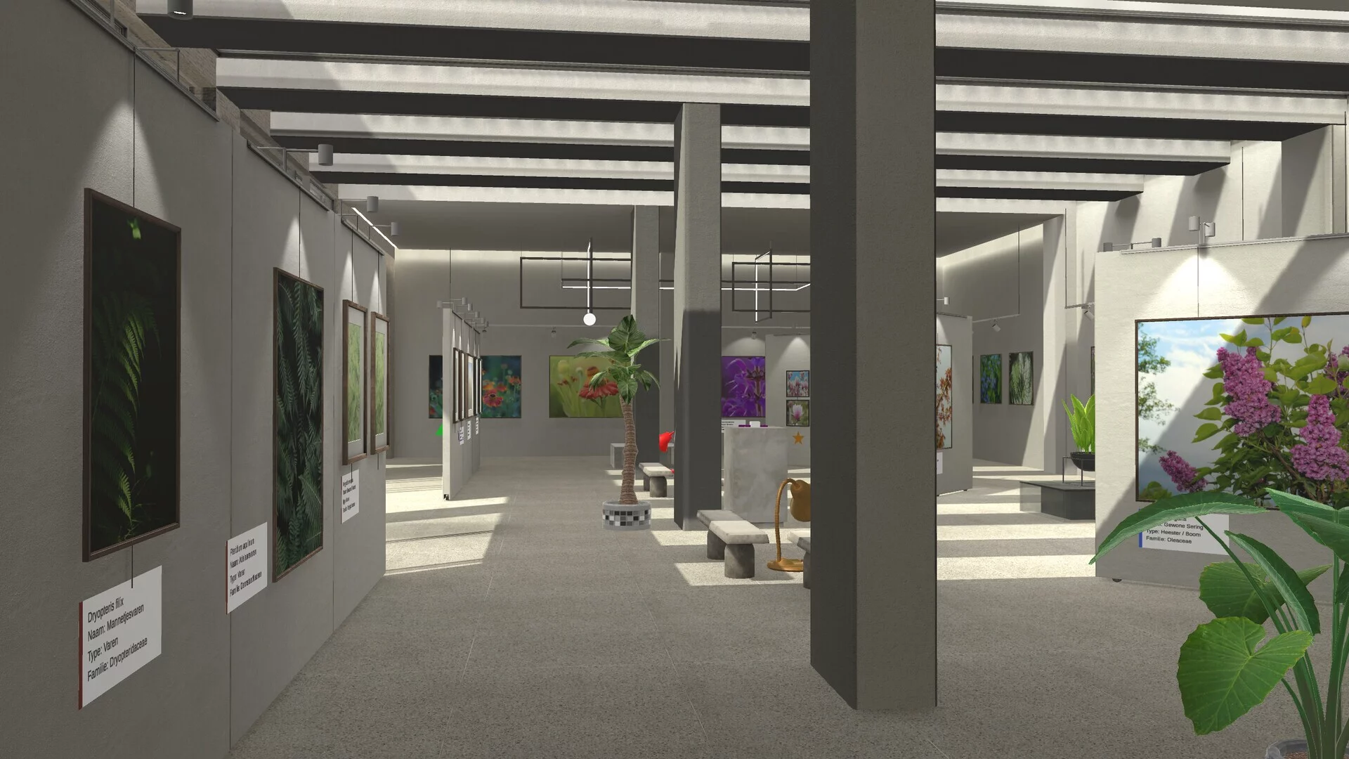 Изображение игры: Plant Gallery: A Short Botanic Experience