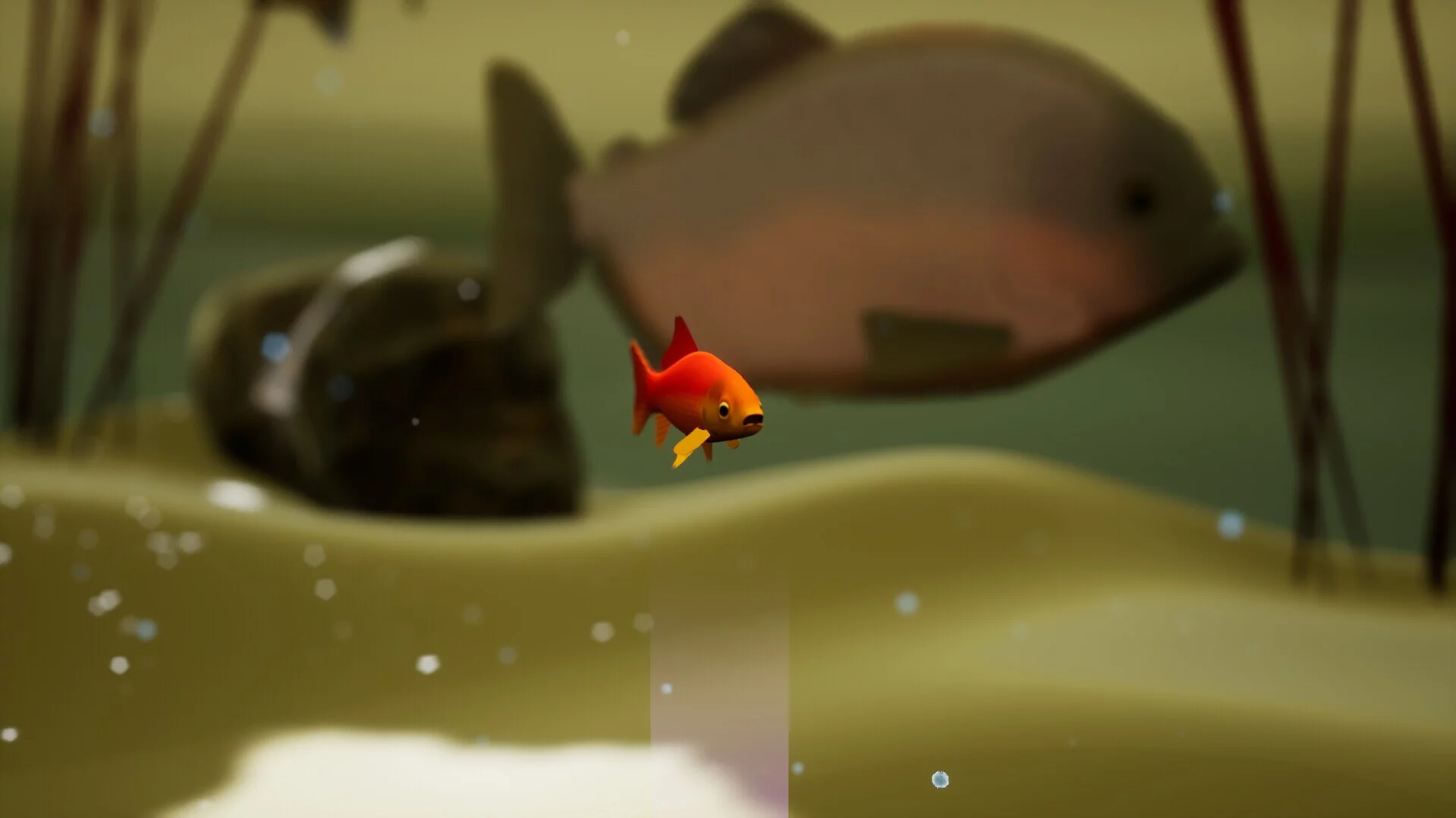 Изображение игры: Fish Game