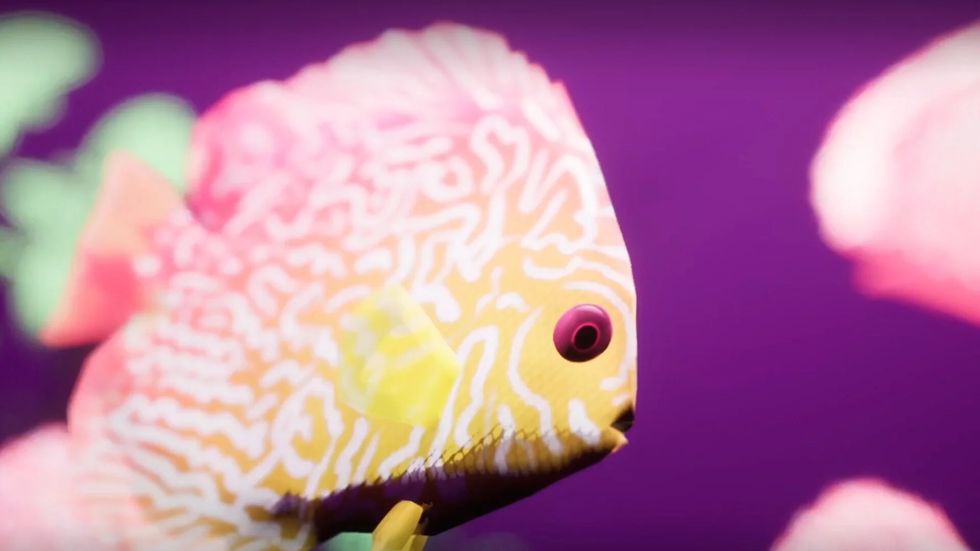 Изображение игры: Fish Game