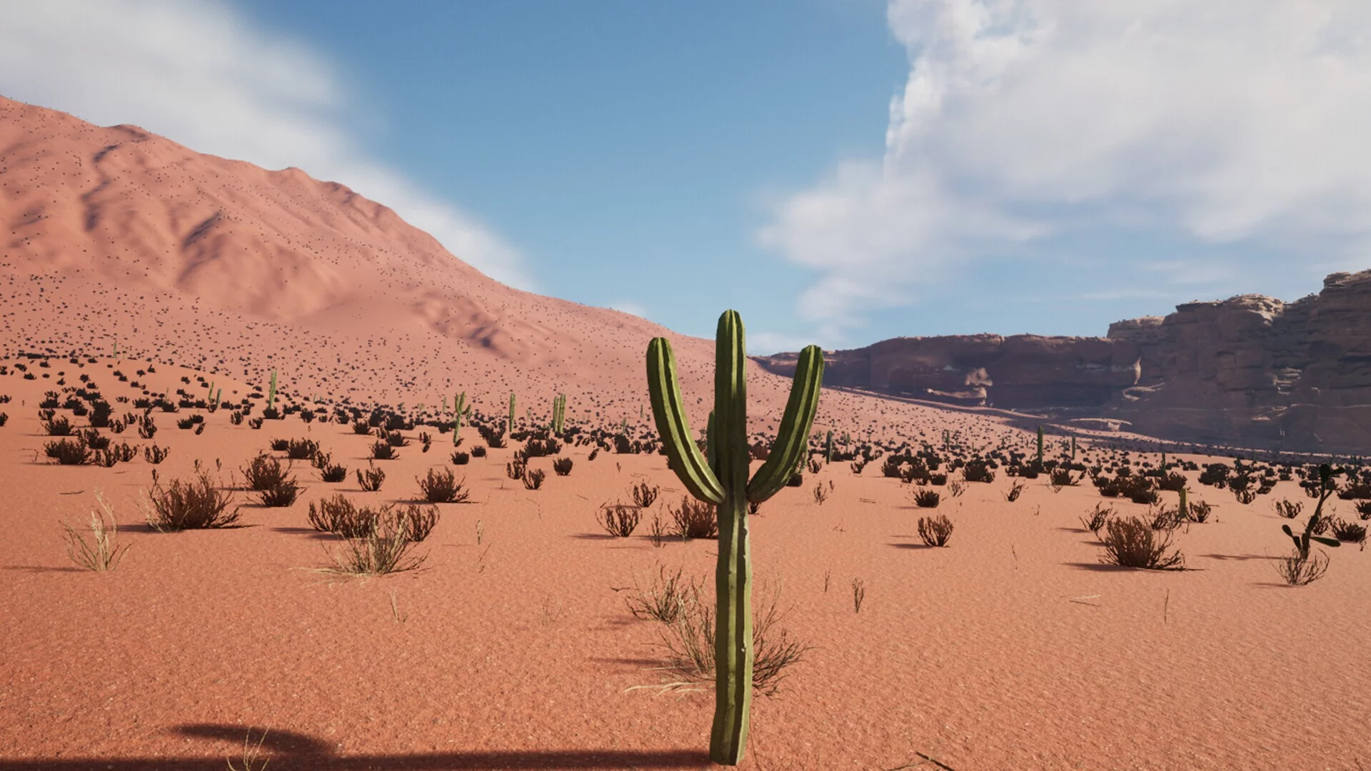 Изображение игры: Cactus Simulator 2