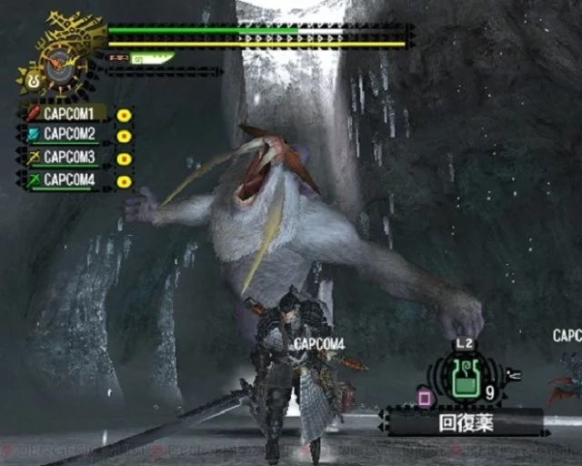 Изображение игры: Monster Hunter 2