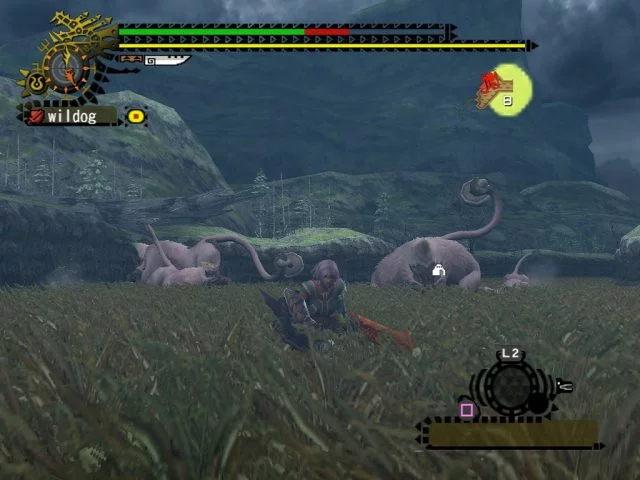 Изображение игры: Monster Hunter 2